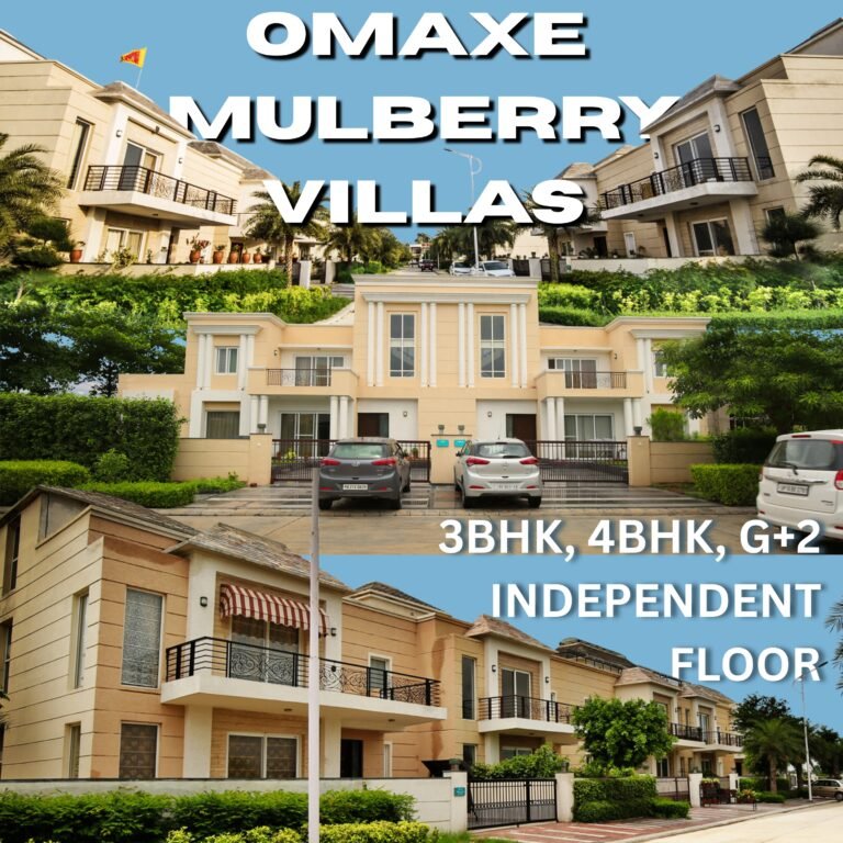 Omaxe Mulberry Villas